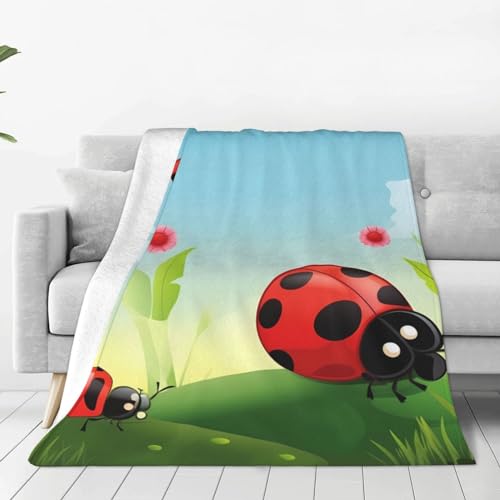 Couverture en micro polaire pour maison chambre canapé et bureau