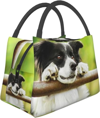 {[_[R[   |[^u fM ٓobO  nhobO ۉ ۗ ɋ ϏՌ e t@bV jp Aj ObY LN^[ v[g