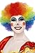 Produktbild Crazy Clown Wig