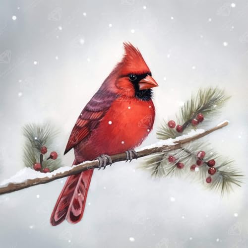 DIAMOND ART CLUB Winter Cardinal Diamond Painting Kit, Fun DIY