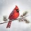 Winter Cardinal