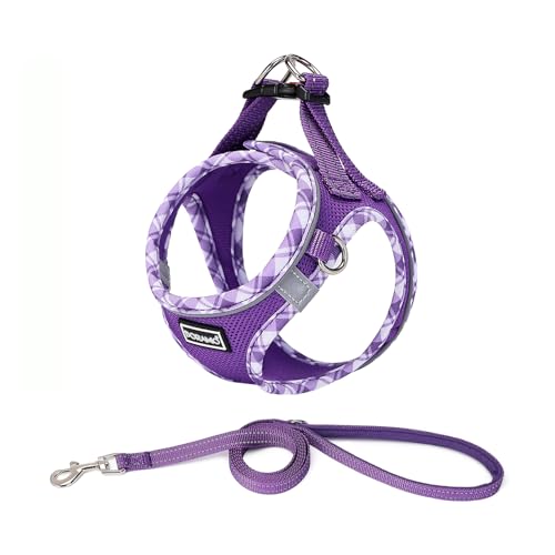 DORAMIO Step-in Dog Harness and Leash Set, No-Chock Soft Mesh Reflective Breathable Easy Walk Lightweight Vest Harnesses with Safety Buckle for Small Dogs, Cats, Puppies (L, Purple)