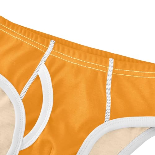Dark Orange Boys' Underwear Cotton Boys Briefs Soft Toddler Underwear 2T4
