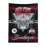 Northwest NCAA Ohio State Buckeyes Electrode Wall Hanging 40x57 inches