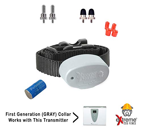 extreme dog fence beeping