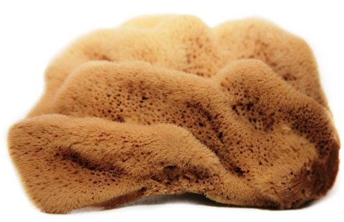 4-4.5 Inches, 'Silk Fina' Natural Sea Sponge for Facial Care, Washing, Cleaning, Showering, Baby Bath, Art and Craft Uses (Unbleached)