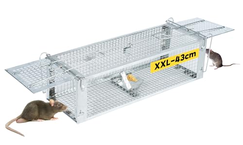 Laoye 43cm Trampas para Ratas XXL Trampa para Ratones Live Trap Ratas Jaula Reutilizable y de Alta Eficiencia para Interiores y Exteriores, para Ratones, Lirones y Campañoles