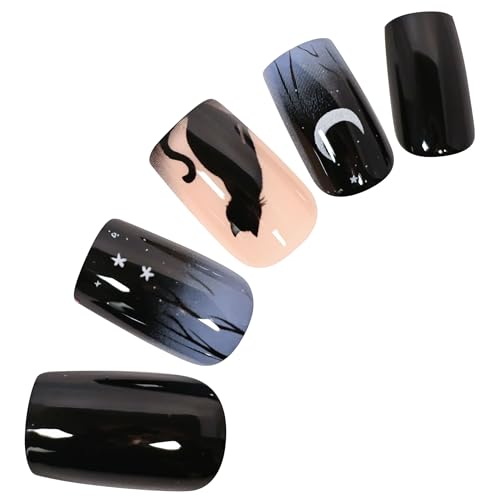 lC`bv   p^[ JWA Ǝ  p[eB[ t lCp ʃO~V[3 EbhXeBbN lCt@Ct (lR, m[})