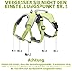 BELPRO Mehrzweck-Hundegeschirr, ausbruchsicher, kein Ziehen, reflektierend, verstellbare Weste mit strapazierfähigem Griff, Hundegeschirr für große/aktive Hunde(Grün, M)