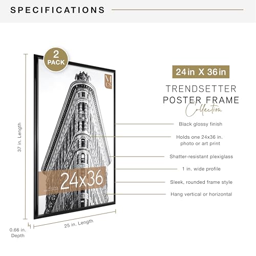 MCS Trendsetter 24x36 Poster Frame Black High-Gloss, Vertical & Horizontal Wall Hanging Large Picture Frame for Photos, Posters & Art Prints (2-Pack)