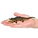 Fun Central 2 Packs of 12 Pieces - Small Rubber Crocodile & Alligator Toy Figure for Toddlers and Kids