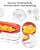 Redboat 2 Pack Window Hummingbird Feeder, Strong Suction Cup Hummingbird Feeder with 4 Feeding Ports, Easy to Clean and Refill Plastic Humming Bird Feeder,Gifts,10oz