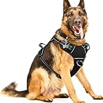 WINSEE Dog/Pet Harnesses No Pull with Dog Collar, Adjustable Reflective Oxford Outdoor Vest, Front/Back Leash Clips for Small, Medium, Large, Extra Large Dogs, Easy Control Handle for Walking