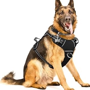 WINSEE Dog/Pet Harnesses No Pull with Dog Collar, Adjustable Reflective Oxford Outdoor Vest, Front/Back Leash Clips for Small, Medium, Large, Extra Large Dogs, Easy Control Handle for Walking