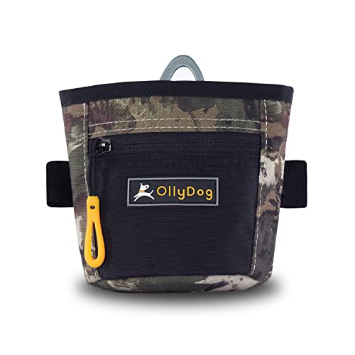 16 Best Dog Training Aids in 2023 Newport Dunes Golf