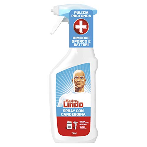 Mastro Lindo Spray Detergente con Candeggina