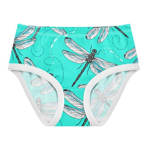 Girls Underwear Toddlers 2t Cotton Little Girl Panties Florals Briefs Girls Undies Dragonflies Wings Teal