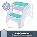 Dreambaby Toddler & Me 2 Step Stool - Designed for Kids & Adults - Holds up to 300lbs Maximum Weight Capacity - 10.5inch Tall & 15.4inch Wide - with Anti Slip Base Pads - Aqua - Model L6070