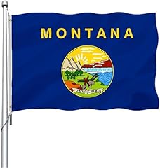 Montana Flag