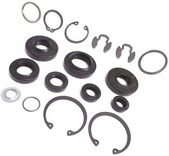 (AM) 70853 Genuine OEM Hydro Gear Seal Overhaul Rebuild RETAINING Ring KIT + Other Models