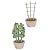 Natural Bamboo Trellis 24 Inches Tall, Mininfa Garden Ladder Trellis, Plant for Climbing Plants, Vegetables, Pots - 3 Pack