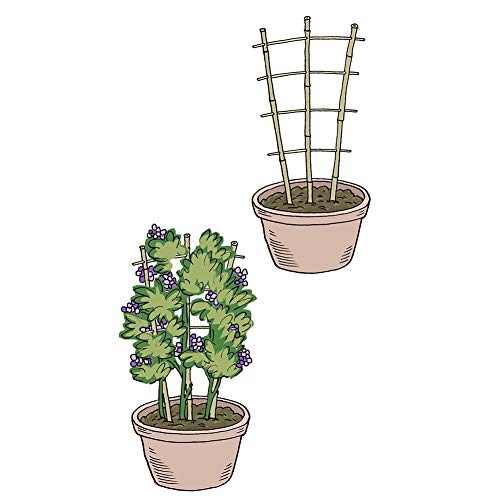 Mininfa SKUBL-02 Natural Bamboo Trellis 24 Inches Tall, Mininfa Garden Ladder Trellis, Plant For Climbing Plants, Vegetables, Pots thumb #4