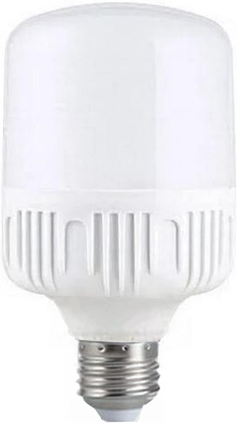 Biella™ Energy Saving LED Bulb 30W / 50W, E27 Base, Soft Light with NO UV/Mercury/Lead | Suitable for Home Office (Warmwhite (3000K) 30W)