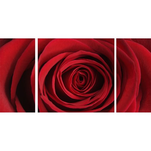 Graham et Brown 43278 Rose Trypitch sur Toile, 3-Pack
