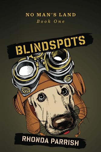 Cover of Blindspots