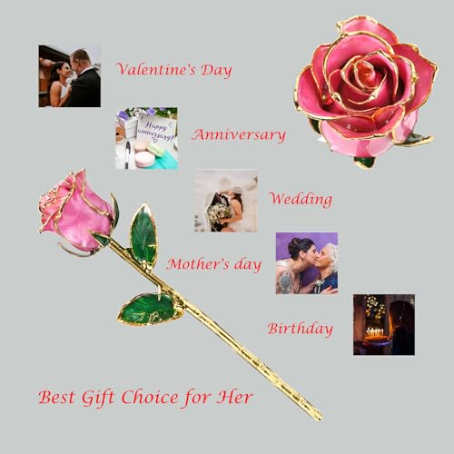 Image of Anniversary Rose Gift for Her, Gold Dipped Rose is Attractive Luster and Natural Shape, Best Gifts for Anniversary Wedding Valentines Day (Pink Original Rose with Stand)