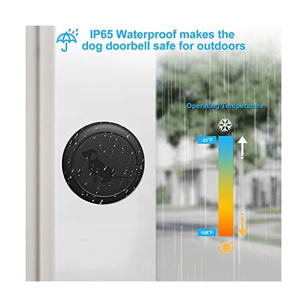 Self-Powered Dog Doorbell