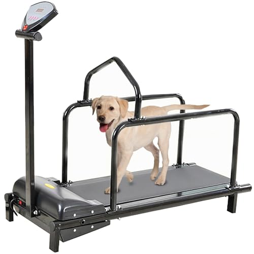 Generic Large Dog Treadmill