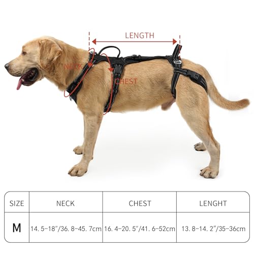 COODEO Mobility Dog Lift Harness, Support Sling & Walking Sling for Dogs, Pet Rear Leg Rehabilitation Support Vest, Dog Carrier for Senior Dogs with Joint Injuries, Arthritis, Up Stair (Black, M) - Image 6