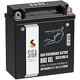 EXTREM HOHE STARTLEISTUNG: Die Motorrad Gel Batterien von SIGA sind für alle modernen Motorräder mit hohen Energiebedürfnissen konstruiert. Es sind pure Kraftpakete und bringen mehr Startleistung auch bei Kälte und Feuchtigkeit. Ihre überdurchschnittliche Startkraft resultiert aus effizienter Leitungsfähigkeit der Gitter mit CALCIUM-Legierung und perfekt aufeinander abgestimmten Platten.