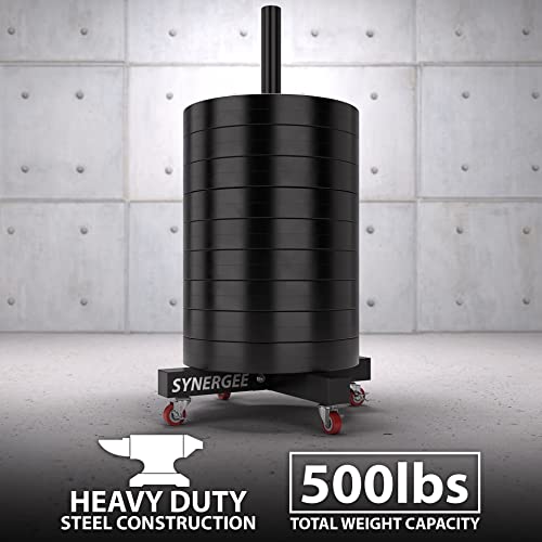 Lot De 4 Plaques D'haltérophilie Empilables 10 Lb Chacune (40 Lb Total) - Noir - Pour Home Gym - Neuf