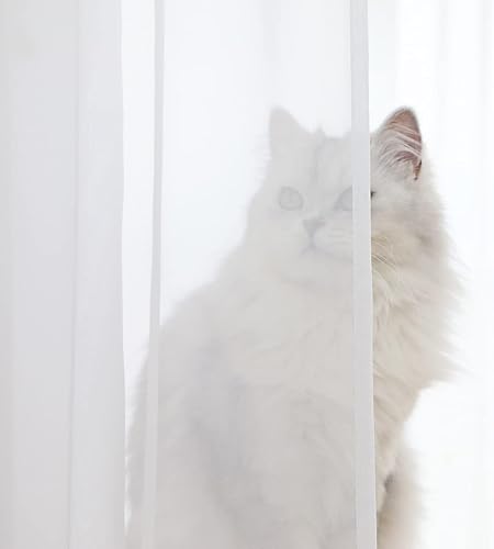 Miniatura 6 de ABCHOME Cortinas traslúcidas en pulgadas de largo, cortinas traslúcidas para ventana, 2 paneles, cortinas traslúcidas de tamaño 63, 72, 95, 108, 145