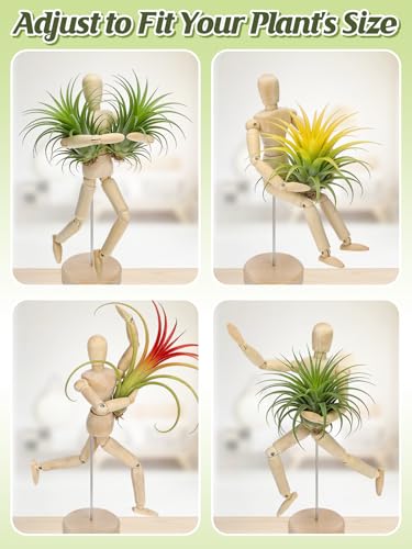 Image of ANPHSIN 4 Pcs 8.6'' Wooden Air Plant Holder, Adjustable Poses | Unique Jointed Mannequin Airplant Stand, Tillandsia Display Container for Home, Office Decoration, Housewarming Gift