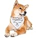LAIYOHO Hunde-Bandanas My Humans Are Getting Married Pet Bandanas Hochzeits-Bandana Hochzeits-Haustier-Bandana-Schal mit eleganten Blumenblättern Rautenmustern für Hunde-Katzen-Liebhaber