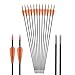 Fiberglass Arrows Black Spots with Orange Plastic Vanes with Long Bullet Shape Tips for Practice Archery Hunting fit for Recurve Bow or Compound Bow 30 inch 12PCS