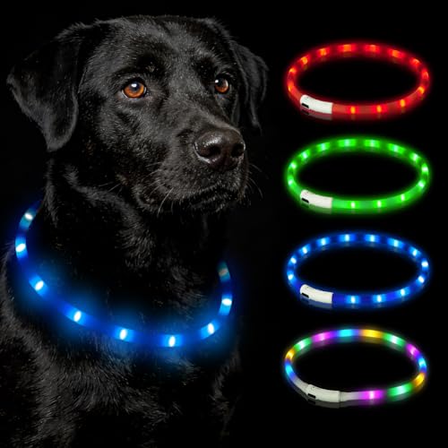 HOTUT Collare per Animali Domestico LED Ricaricabile USB,Collare per Cani a Led con Lunghezza Regolabile con 3 Modalità di Illuminazione,Collar Luminoso per Cani Taglia Piccola Media Grande(Blu)