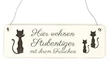  Interluxe Shabby Vintage Schild Türschild Hier WOHNEN STUBENTIGER mit IHREM Frauchen Katze Holzschild Geschenkidee Kater