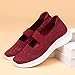 Womens Shoes Solid Color Casual Shoes Hollow Breathable Fashion Flat Casual Shoes Walking Running Shoes Women Size 9 (Red, 8)
