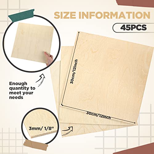 45 Pieces Birch Plywood 12 X 12 X 1/8 Inch Unfinished Wood Arts Crafts 3 Mm Thick Craft Plywood Sheets For School Diy Projects, Drawing, Painting, Wood Engraving, Burning Laser Projects #TOP1