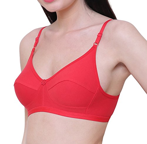 Image of INNER TOUCH Women's Cotton Non-Padded Bra (Pack of 3)
