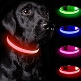 Nepfaivy Leuchthalsband Hund USB Aufladbar - Hundehalsband Leuchtend mit Verstellbarer Länge für Mittelgroße bis Große Hunde, LED Halsband Hund mit 3 Beleuchtungsmodi für Nacht Sicherheit(Rot-XS)