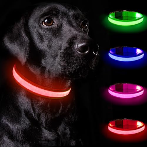 Nepfaivy Collare Luminoso per Cani Ricaricabile - Collare per Cani a Led con Lunghezza Regolabile, 3 Modalità di Illuminazione per la Sicurezza Notturna, Rosso