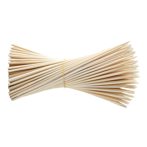 BESTonZON 100pcs Disposable Grilling Sticks for Appetizers Fruit and Meat Thick Long for Parties Charcuterie Boards and Outdoor Picnics