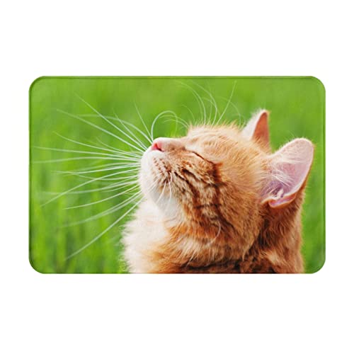 ���փ}�b�g�L�Ő��Ύʐ^�A�j�������}�b�g�z�������R�ۖh�L�o�X�}�b�g�z������~�ߖh�J�r�������L���o�X���[���L�b�`���l�G���p�J�[�y�b�g40×60cmfd17