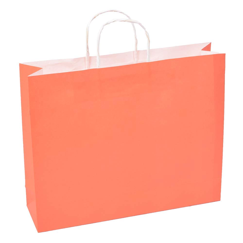 Sapco Gift Paper Carry Bag Pack of 10(Solid Peach)