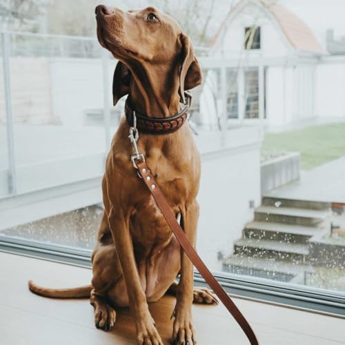 HUNTER EL Paso Hundehalsband mit robustem, geschmeidigem Rindsleder, handgeflochten Farbe Dunkelbraun/schwarz, Größe L